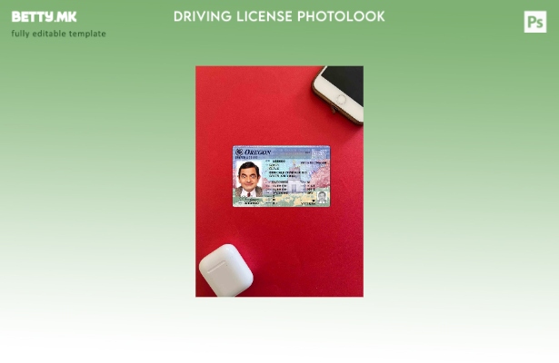 Модерен стил USA Oregon DL photolook FRONT шаблон